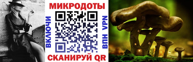 Купить Дятьково Галлюциногенные грибы Psilocybine cubensis