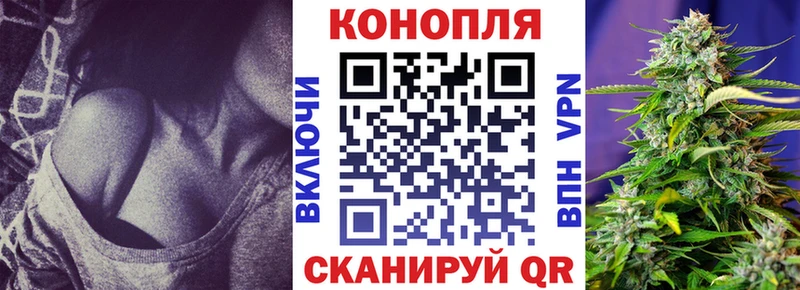 Купить где  Дятьково  Каннабис индика 